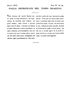 Ad00341 05 069a04.jpg