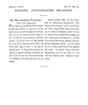 Ad00341 05 072a01.jpg