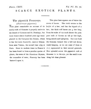 Ad00341 05 072a03.jpg