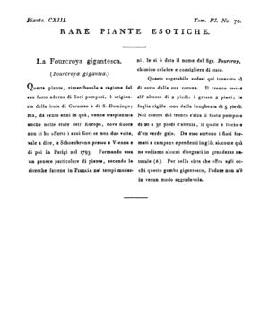 Ad00341 05 072a04.jpg