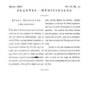 Ad00341 05 073a02.jpg