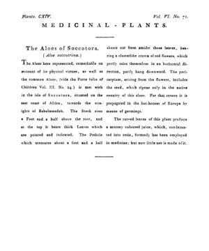 Ad00341 05 073a03.jpg