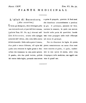 Ad00341 05 073a04.jpg