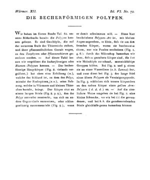 Ad00341 05 074a01.jpg