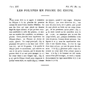 Ad00341 05 074a02.jpg