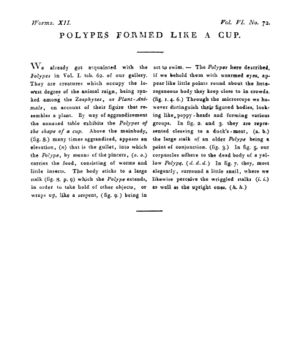Ad00341 05 074a03.jpg