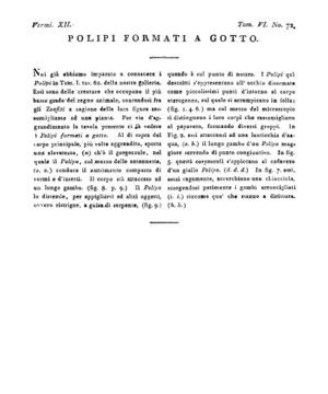 Ad00341 05 074a04.jpg