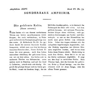 Ad00341 05 075a01.jpg