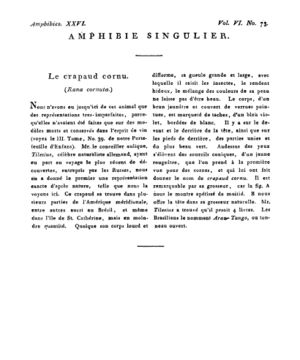 Ad00341 05 075a02.jpg