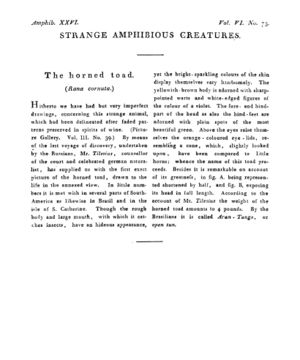 Ad00341 05 075a03.jpg