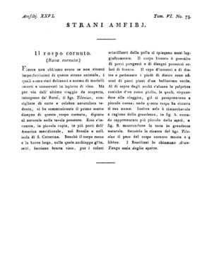 Ad00341 05 075a04.jpg