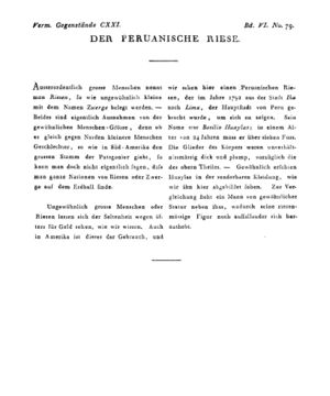 Ad00341 05 081a01.jpg