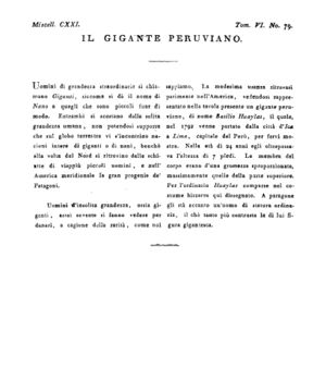 Ad00341 05 081a04.jpg