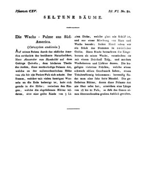 Ad00341 05 083a01.jpg