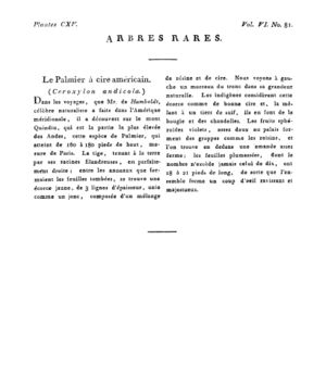 Ad00341 05 083a02.jpg