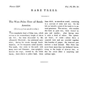 Ad00341 05 083a03.jpg