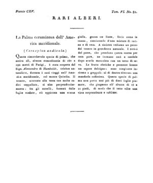 Ad00341 05 083a04.jpg