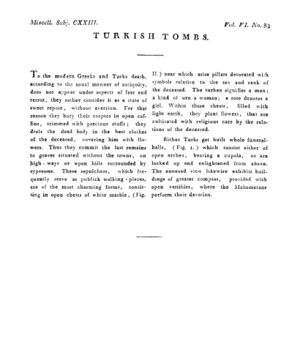 Ad00341 05 085a03.jpg