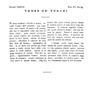 Ad00341 05 085a04.jpg
