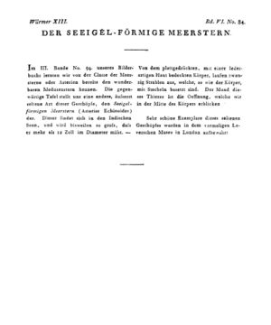 Ad00341 05 086a01.jpg
