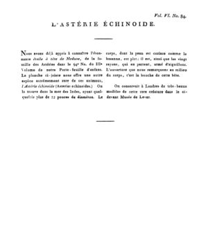 Ad00341 05 086a02.jpg