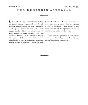 Ad00341 05 086a03.jpg