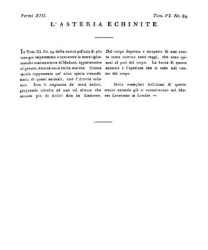 Ad00341 05 086a04.jpg