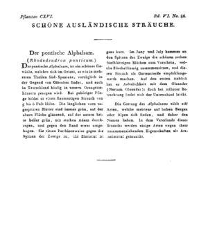 Ad00341 05 088a01.jpg