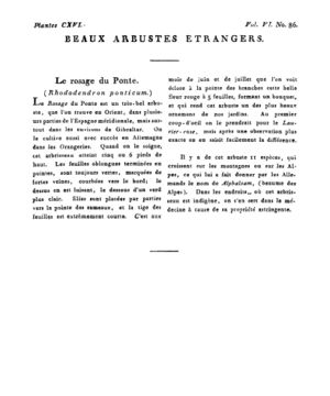 Ad00341 05 088a02.jpg