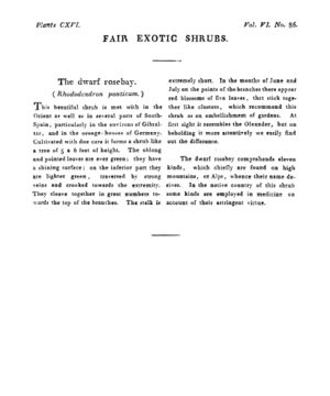 Ad00341 05 088a03.jpg