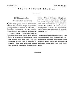 Ad00341 05 088a04.jpg
