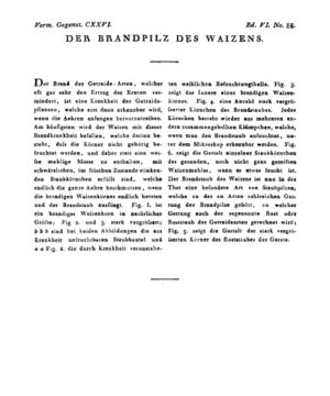 Ad00341 05 090a01.jpg