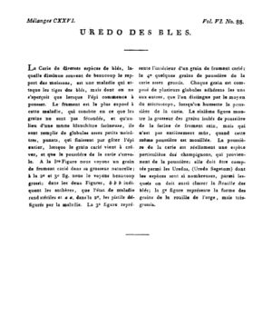 Ad00341 05 090a02.jpg