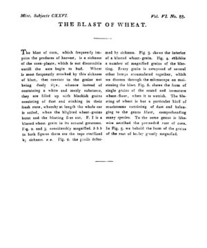 Ad00341 05 090a03.jpg