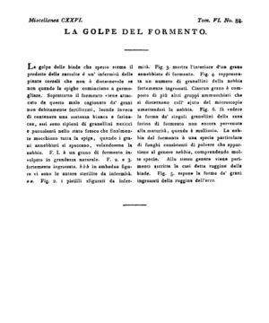 Ad00341 05 090a04.jpg