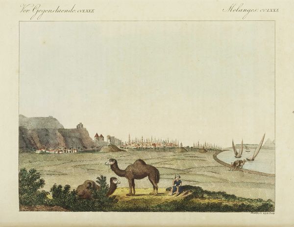 Kamel Interlinking_Pictura